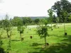 Cimitirul ecologic, respins a doua oară de Primăria Braşov