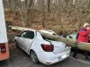 Vijelia caldă de dinainte de 3 zile de iarnă: Copac căzut peste 3 maşini în Livada Poştei