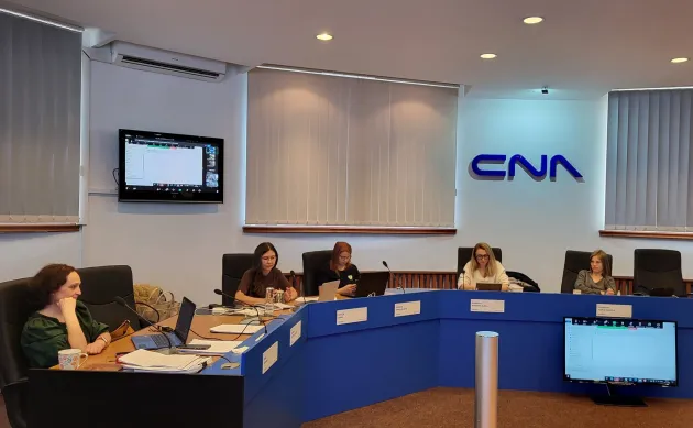 CNA cere anchetă