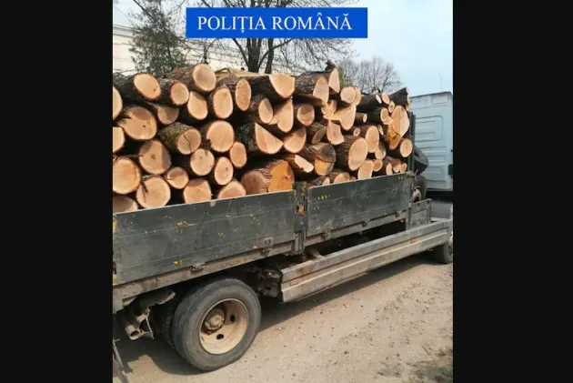 Două încărcături ilegale: Poiana Mărului şi Zărneşti