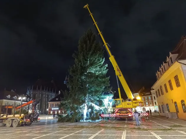 Brazii Crăciunului: 20 metri în Piaţa Sfatului, 10 metri în Piaţa Unirii, Piaţa George Enescu şi la Primărie
