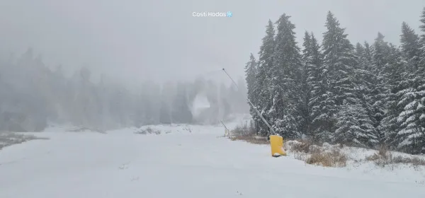 Poiana e „de vis”: Natura şi „fabrica de zăpadă” au urcat stratul de omăt la 30 cm 