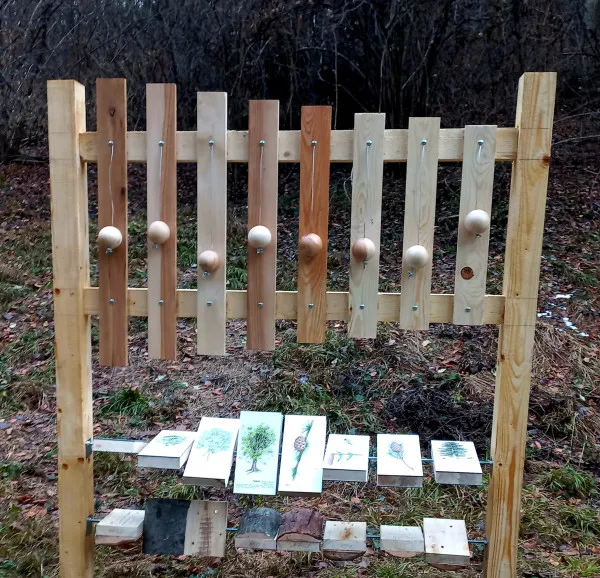Poiana cu jocuri, care „îţi spune” şi de ce e importantă pădurea