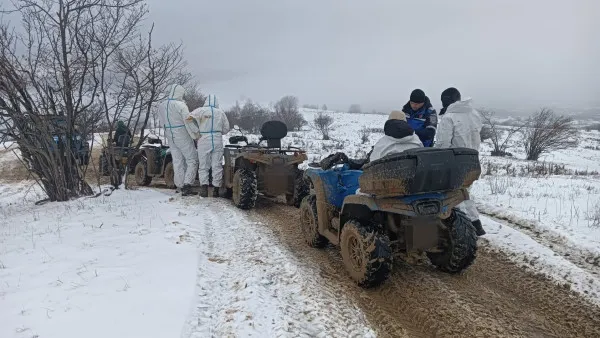 Gaşca cu ATV-uri, 1.000 de lei