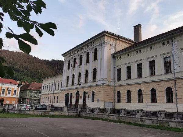 Memoriul Șagunist: Despre „oala veche a istoriei, în care se fierbe supa rece fascistă cu găluște mistice de Georgescu, cu efecte halucinante”
