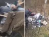 Prinşi cu gunoiul în pădure. Pe loc, 10.000 lei