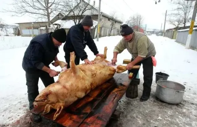 Vineri, zi de Ignat. Cât se mai păstrează din tradiţia sacrificării porcului