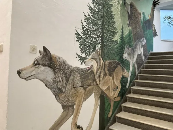 Braşovul are o hartă digitală a ariilor protejate, realizată de Agenţia pentru Protecţia Mediului Braşov