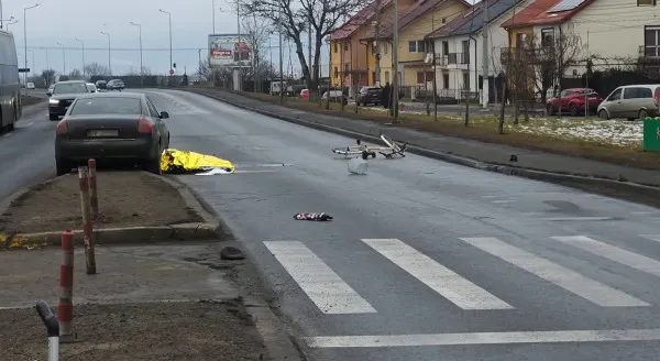 Omorât pe zebră!