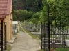 5.200 lei, „viaţa veşnică” pe 40 de ani