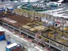 „Tot ce zboară se mănâncă”: Anul trecut o groapă, anul acesta ziduri de beton 