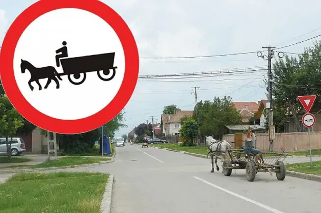 Căruţa cu hoţi de pe DN73A