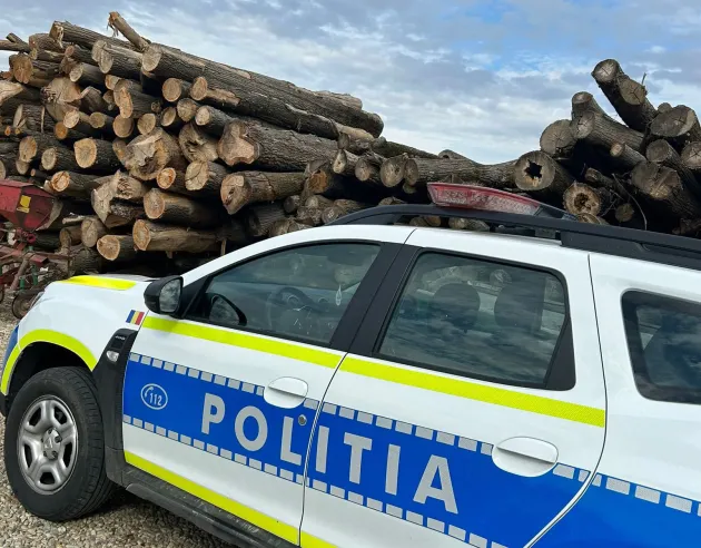 Prins în pădure, la fag