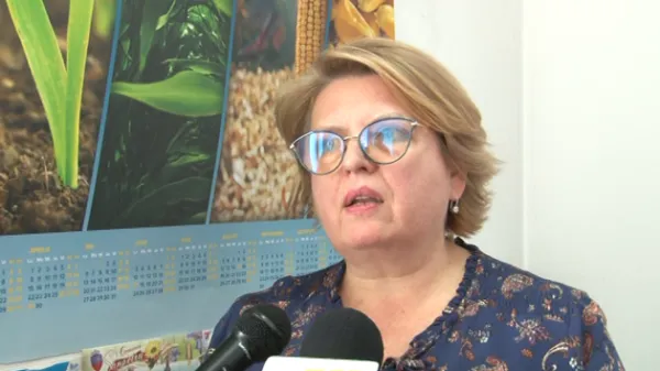 Braşovul are podgorie doar pe 3 hectare