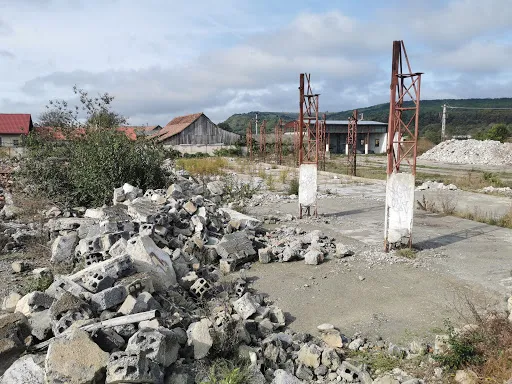 S-a dus să fure, l-a găsit moartea