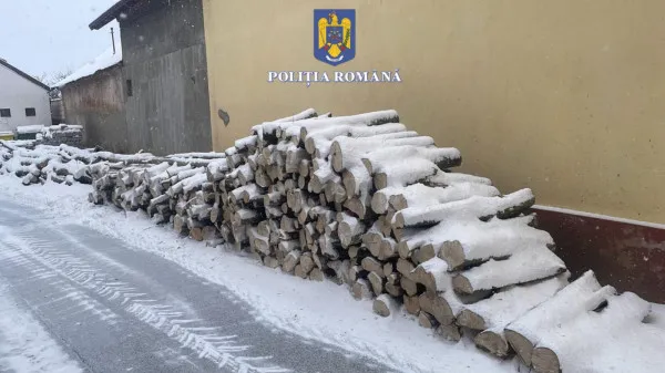 În convoi, la furat de lemne