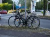 Ciclismul ca activitate de familie: întărirea legăturilor prin sport