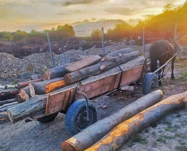 4 căruţe într-o zi
