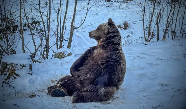 Preţuri mai mari la Zoo Braşov 