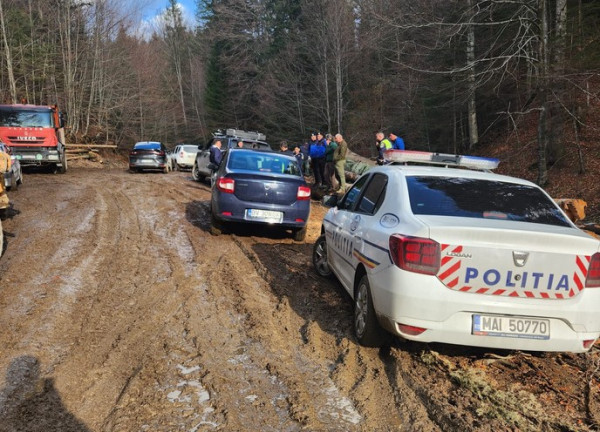 O exploatare forestieră a lăsat Râşnovul fără apă 