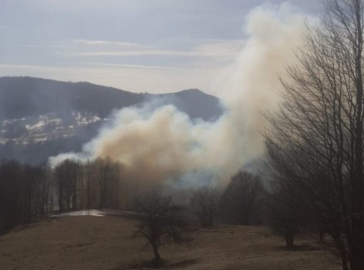 S-a aprins pădurea, focul mocneşte pe 4 hectare
