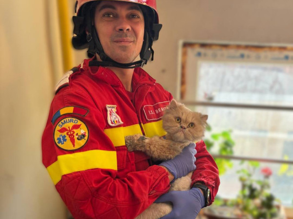 Fluffy, singură acasă. Cu o candelă aprinsă