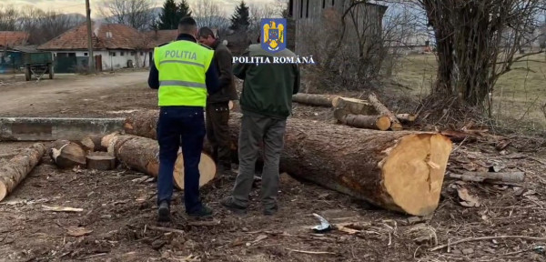 18 firme cu garda la uşă