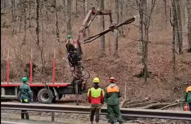 5  zile cu trafic îngreunat în Pădurea Bogăţii. Pentru perioade scurte, drumul va fi închis