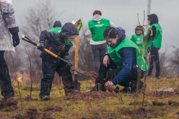 Păşune transformată în pădure