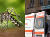 Primul caz de infecţie cu virusul West Nile, mult mai devreme în acest an