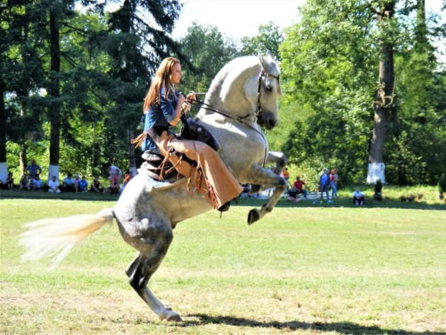 În următoarea minivacanță, lipițanii fac spectacol la Sâmbăta