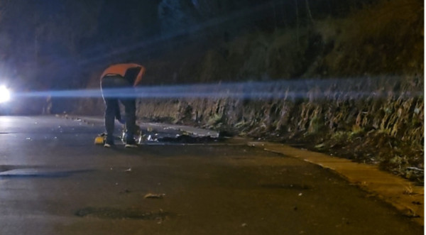 Ursoaica din Predeal care a atacat un salvamontist a fost împușcată. Puii ei au fost relocați