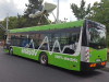RATBV are nevoie de mai multă putere pentru autobuzele electrice 
