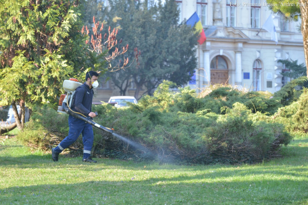 De azi - căpuşele, de săptămâna viitoare - ţânţarii