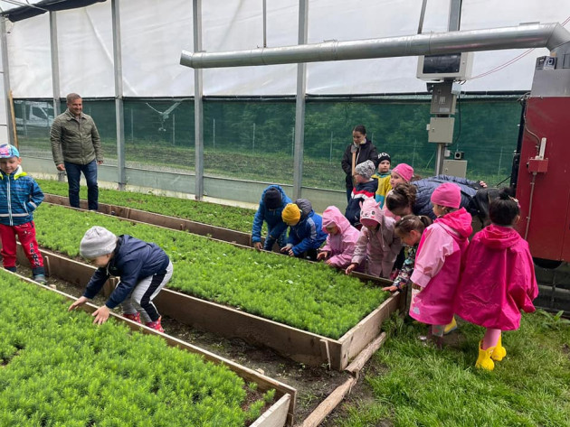 Copiii de la Şcoala 14 şi Şcoala 9 vor învăţa să cultive plante în sere educaţionale 