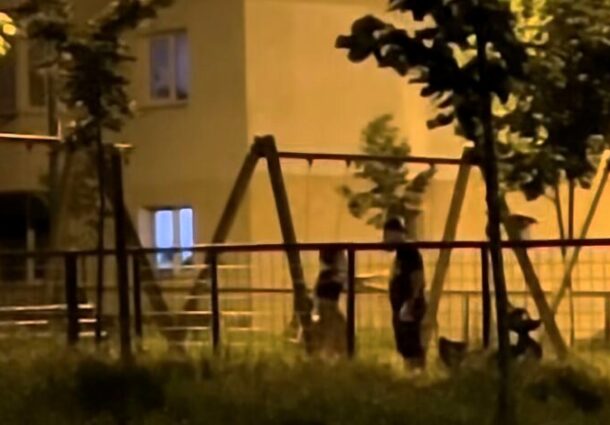 O „Teodora” și la Brașov. Din fericire, încă în viață 


