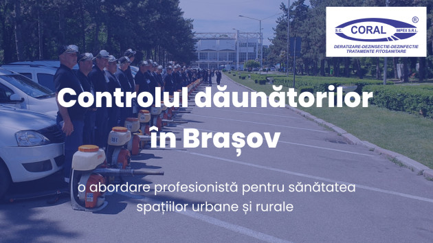 Controlul dăunătorilor în Brașov: o necesitate pentru sănătatea comunității și siguranța mediului urban