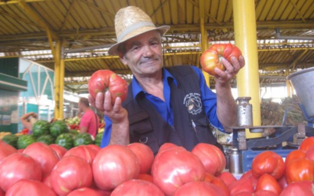 Cum a pierdut România ceapa aurie de Buzău şi roşiile „inimă de bou”