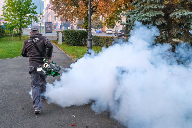 INFORMAREA POPULAŢIEI - Dezinsecţie combatere ţânţari, larvicidare lucii de apă, tratamente fitosanitare trandafiri şi buxus 