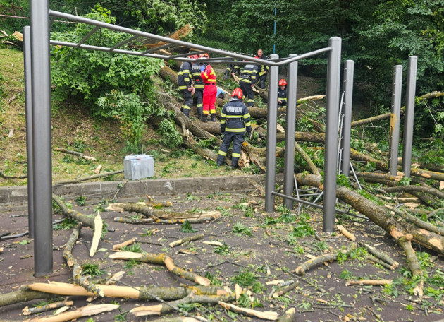 27 de ani, moarte fulgerătoare. Omorât de un copac pe aleea de sub Tâmpa!