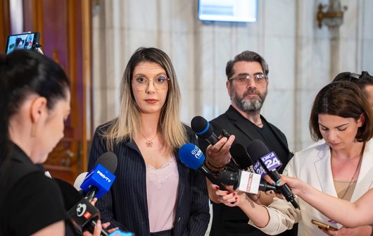 Buzoianu: „Da, vom lansa programul Rabla persoane fizice în perioada următoare”