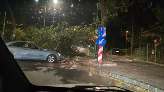 Vijelia a lăsat urme la Braşov. Un copac a blocat Calea Bucureşti, căzut direct pe o maşină