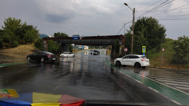 Maşină în mers, i-a căzut copacul „din cer”