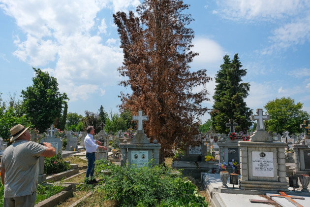 După locul de parcare, locul de veci. Primăria Braşov începe şi inventarul în cimitir