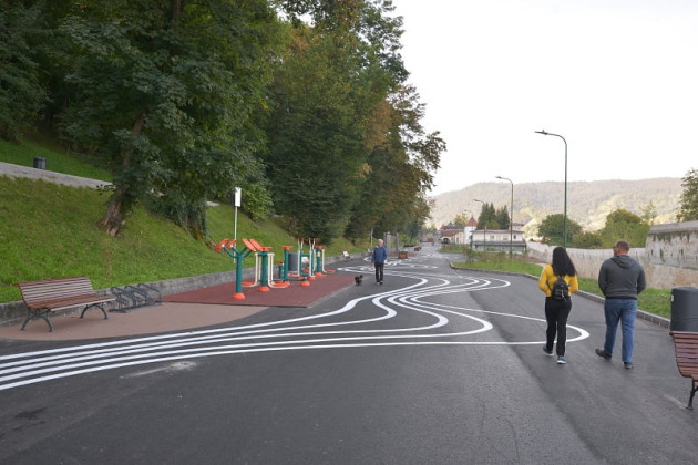 250 de arbori de pe Aleea de sub Tâmpa ar putea fi tăiaţi 