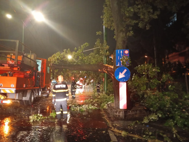 Copacul de la Spitalul Astra, aceeaşi speţă ca pe Aleea de sub Tâmpa:  era putred şi a cedat, deşi părea verde şi sănătos