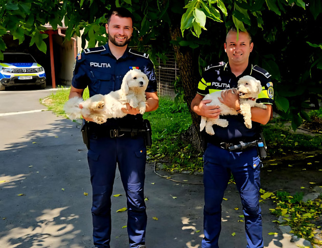 Sara şi Bety,luate acasă. Fostul stăpân, amendat