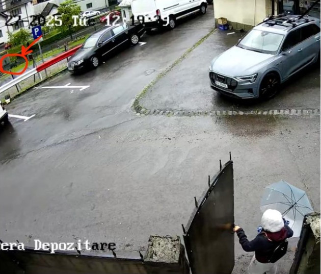 Ursul, iar pe la Scripcaru la poartă