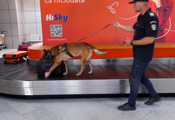 Aeroportul Braşov va avea şi câini-poliţişti  