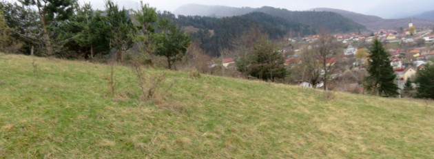 Municipiul Săcele va avea un parc dendrologic : 3,7 hectare, în zona Coasta Vie
